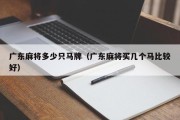广东麻将多少只马牌（广东麻将买几个马比较好）
