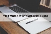 广东雀神麻将名字（广东雀神麻将怎么玩才赢）