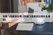 中国飞龙航空公司（中国飞龙航空公司什么级别）