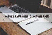广东麻将怎么抓马的视频（广东麻将抓马规矩）