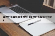 雀神广东麻将高手视频（雀神广东麻将小技巧）