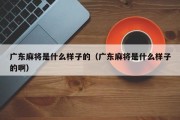 广东麻将是什么样子的（广东麻将是什么样子的啊）