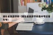 湖北省旅游学校（湖北省旅游学校是中专还是大专）