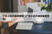 广东小区打麻将被砸（广东小区打麻将被砸视频）