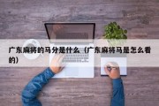 广东麻将的马分是什么（广东麻将马是怎么看的）
