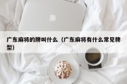 广东麻将的牌叫什么（广东麻将有什么常见牌型）