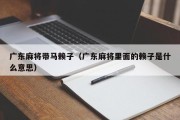 广东麻将带马赖子（广东麻将里面的赖子是什么意思）