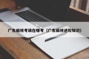 广东麻将考级在哪考（广东麻将进阶知识）