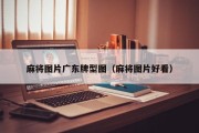 麻将图片广东牌型图（麻将图片好看）