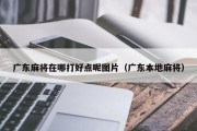 广东麻将在哪打好点呢图片（广东本地麻将）