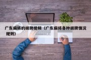 广东麻将的胡牌视频（广东麻将各种胡牌情况 规则）