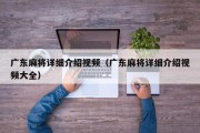 广东麻将详细介绍视频（广东麻将详细介绍视频大全）