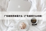 广东麻将弃胡是什么（广东麻将什么叫胡）